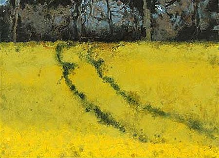 THE RAPE FIELD