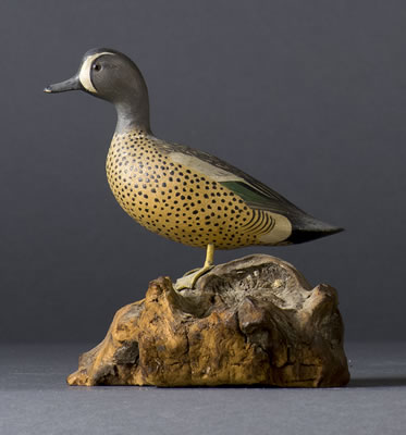 MINIATURE BLUE-WINGED TEAL DRAKE