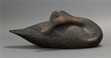 BLACK DUCK DECOY
