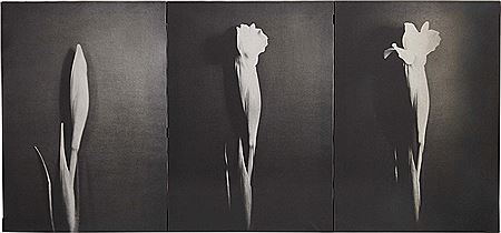 Sample artwork by Elio Mariani (Born 1943), known for painting - View similar artists and auction records