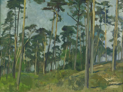 Märkischer Kiefernwald