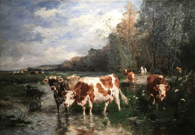 COWS WATERING