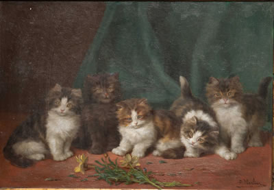 FIVE KITTENS