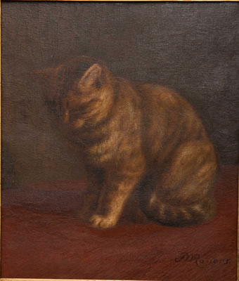 PORTRAIT OF A CAT