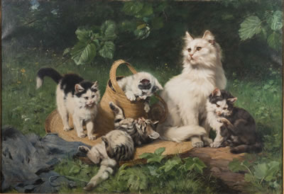 CATS AT PLAY