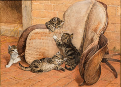 KITTENS PLAYING AROUND A SADDLE