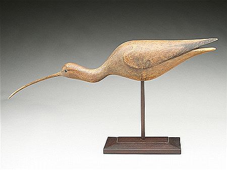 Running curlew with slightly turned head