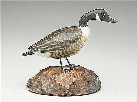 Miniature Canada goose