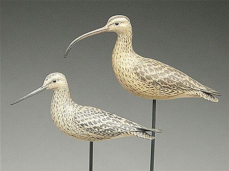 Two miniature shorebirds
