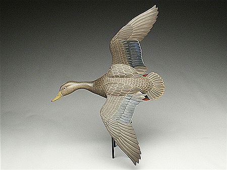 Full size flying blackduck