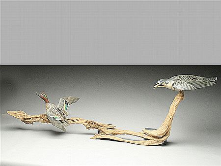 Peregrine Falcon chasing a greenwing teal drake