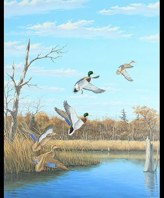 Mallards taking off from wooded marsh by Harry Antis - Auction record, sale price, and art valuation. Compare with similar artists and explore comparable artworks.