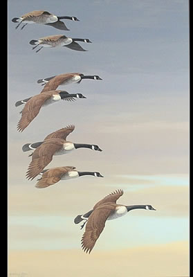Canada geese in flight by Harry Antis - Auction record, sale price, and art valuation. Compare with similar artists and explore comparable artworks.