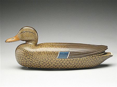 Large mallard hen