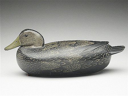 Well painted black duck