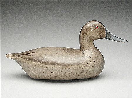 Outstanding canvasback hen