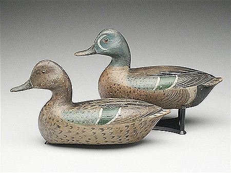 Very rare rigmate pair of bluewing teal