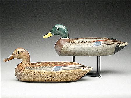 Rigmate pair of mallards