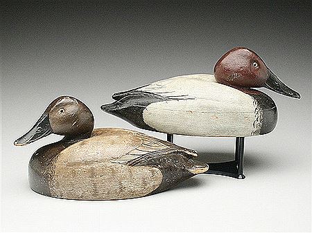 Rigmate pair of canvasbacks
