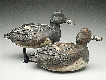 Oversize rigmate pair of bluebills