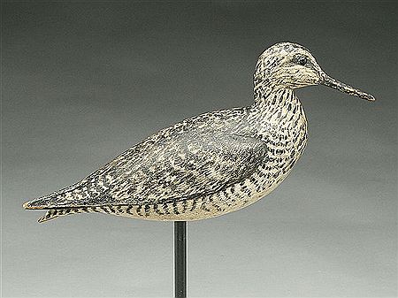 Outstanding greater yellowlegs