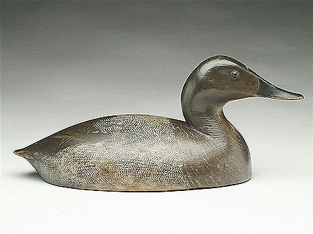 Hollow carved canvasback drake