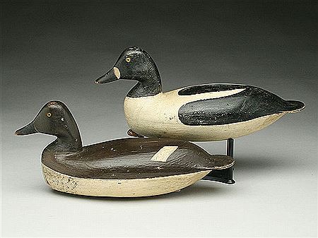 Rigmate pair of goldeneye