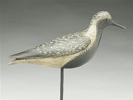 Black bellied plover