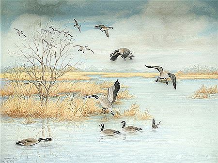 Diorama of marsh scene, with both carved and painted Canada geese