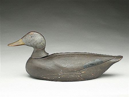 Rocking head black duck