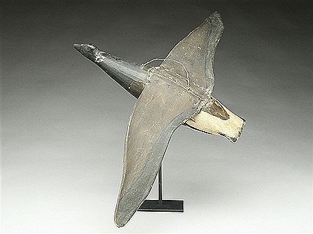 Very rare flying brant