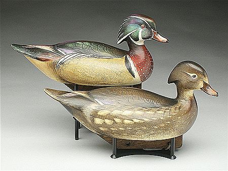 Rigmate pair of wood ducks