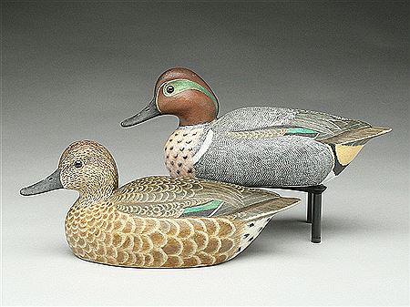 Greenwing teal hen and drake