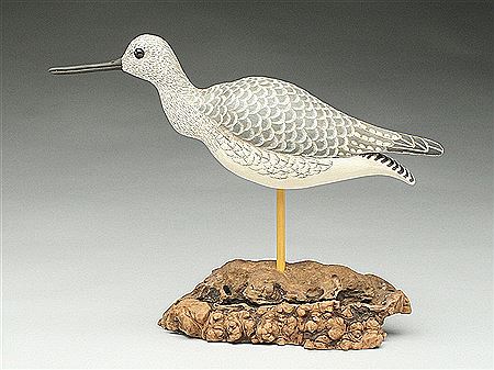 Yellowlegs with minnow in throat