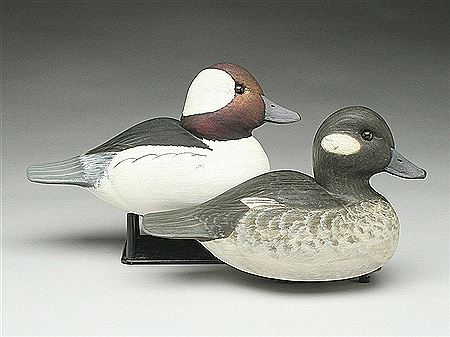 Pair of buffleheads