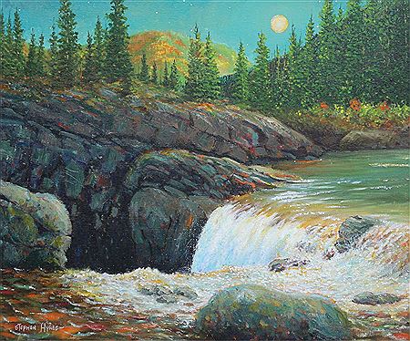ELBOW FALLS BY NIGHT; 2008