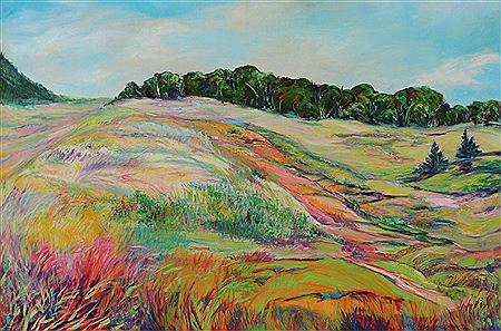 WATERTON MEADOWS, SUNSWEPT by R Fern Langemann - Auction record, sale price, and art valuation. Compare with similar artists and explore comparable artworks.