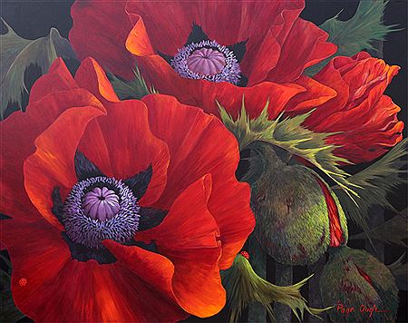 MORNING LIGHT, POPPIES