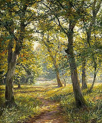 Parkland in sunlight