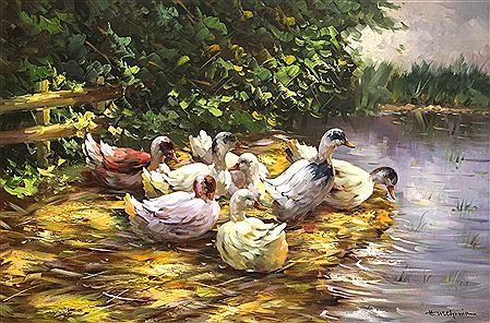 Ducks at the pond