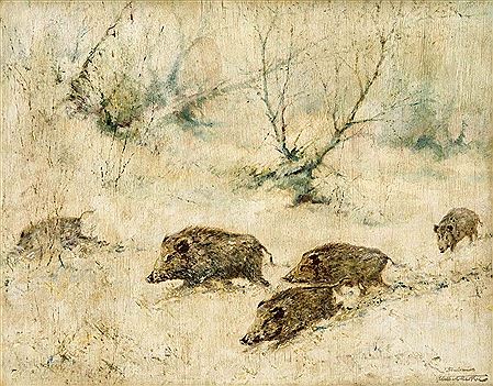 Winter image with boars in the snow