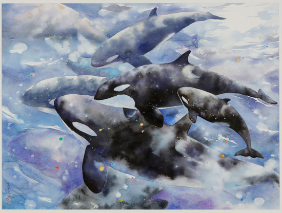 Pod of Orcas