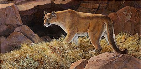 Lion of the Rockies by Isabel Levesque - Auction record, sale price, and art valuation. Compare with similar artists and explore comparable artworks.