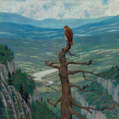Red-Tailed Hawk on Mount Hamilton