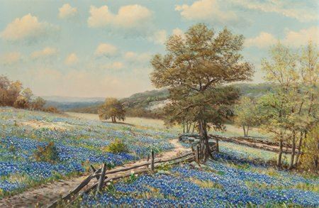 Fence Amongst the Bluebonnets