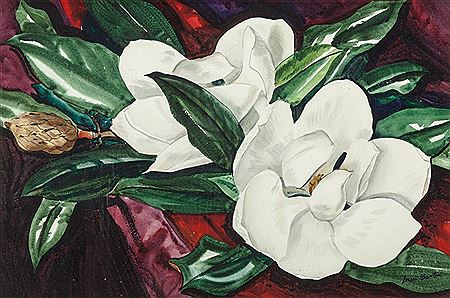 Magnolia Blooms