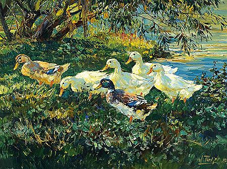 Ducks