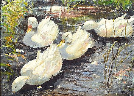 Enten im See