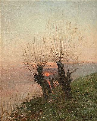 Coucher de soleil sur les saules têtards.