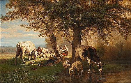 Vaches et moutons s’abreuvant